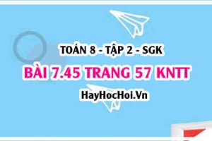 Bài 7.45 trang 57 Toán 8 Tập 2 Kết nối tri thức
